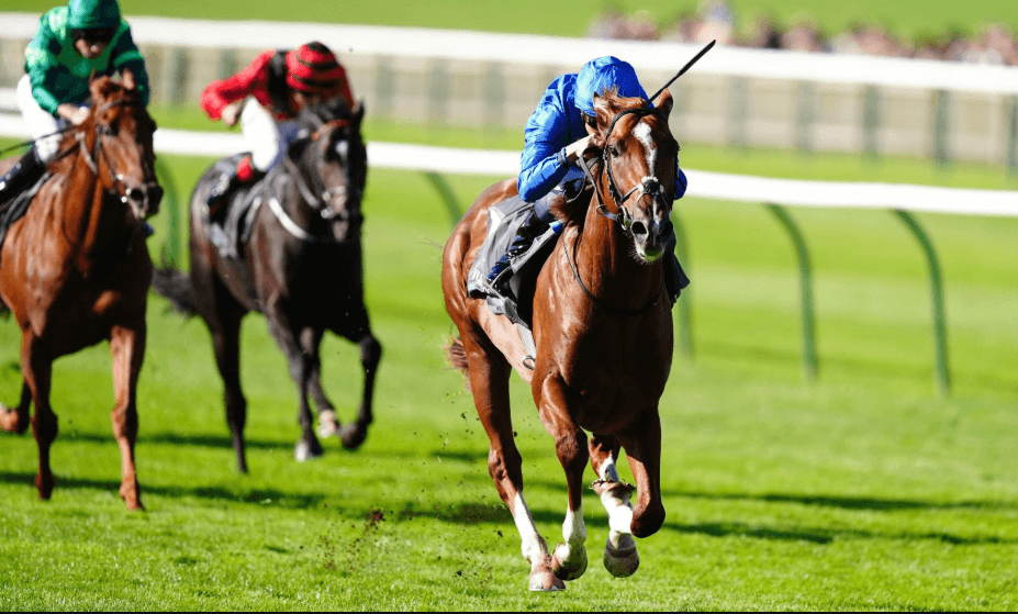 The Most Scenic Horse Racing Tracks in the World