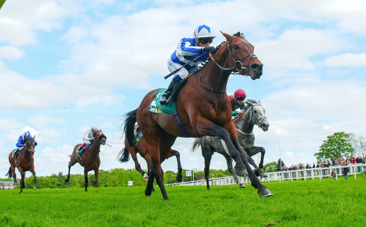 The Psychology of Jockeys: Staying Focused During Races