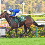 The Rise of Horse Racing in Asia and Its Impact