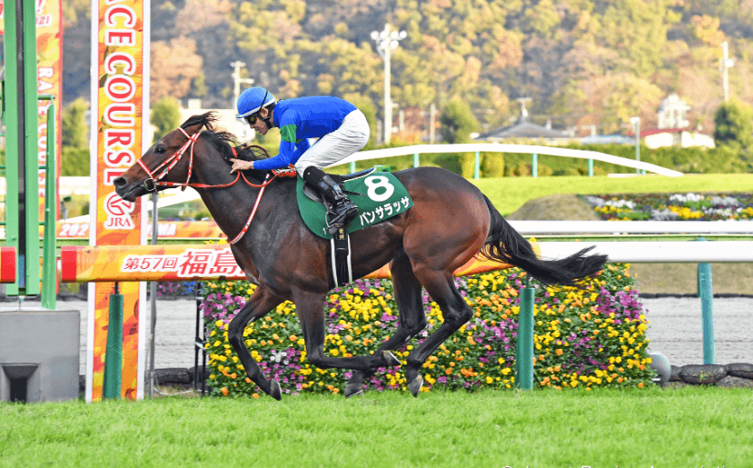 The Rise of Horse Racing in Asia and Its Impact