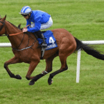 The Rise of International Horse Racing