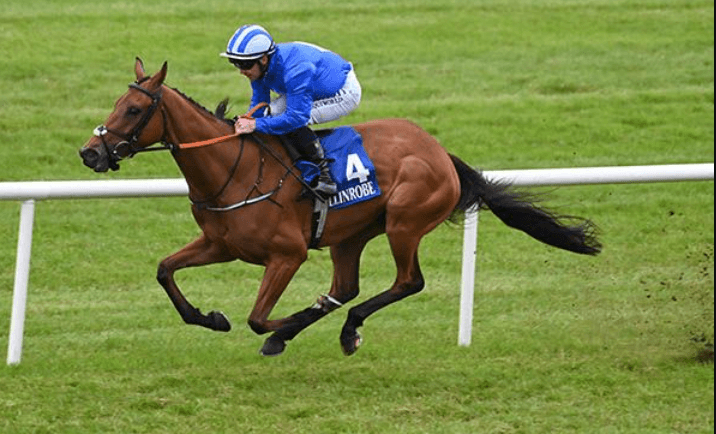 The Rise of International Horse Racing